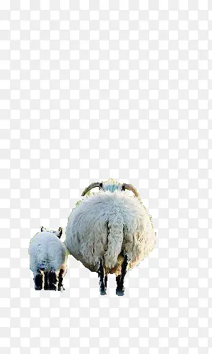 �����С��-������