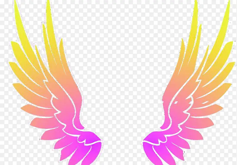 ��ɫ������-������