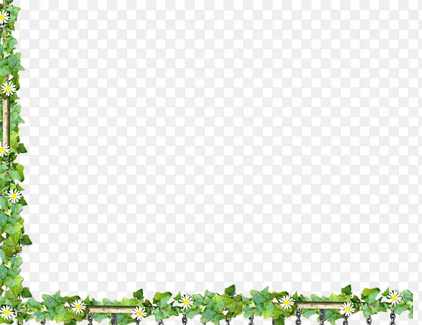 ��ٴ����߿�-������