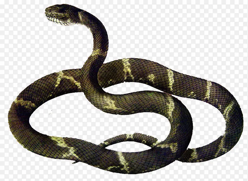 ��ɫ�۾���-������