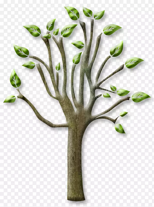 ��֦-��ľ-������