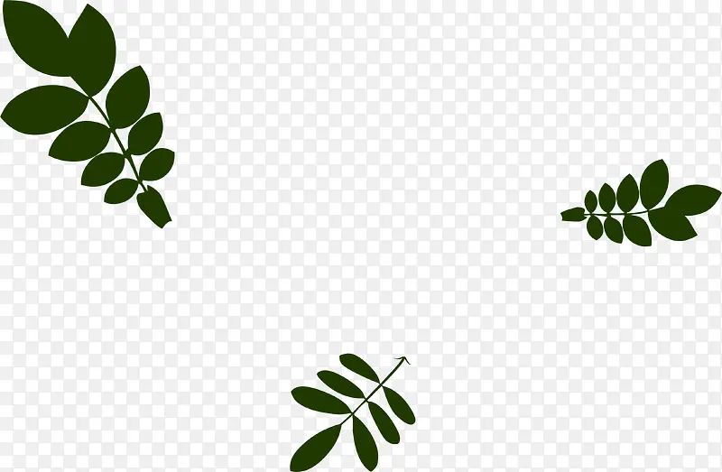 ��Ҷ��֦Ư��װ��-������