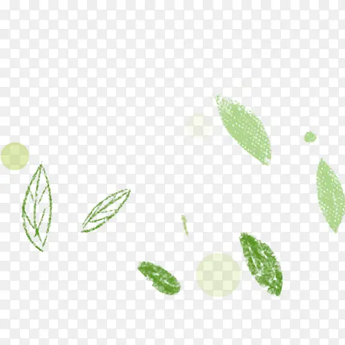 ��ͨ��ҶƯ��-������