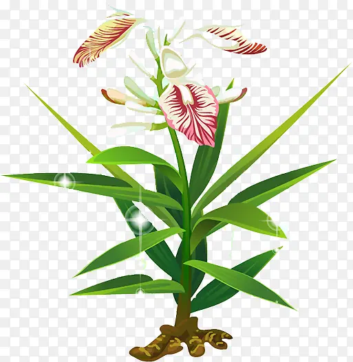 ����-������