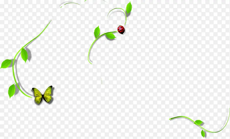 ������Ҷ����װ��-������