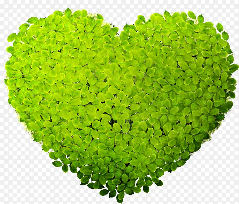 ���컷��������Ҷװ��-������