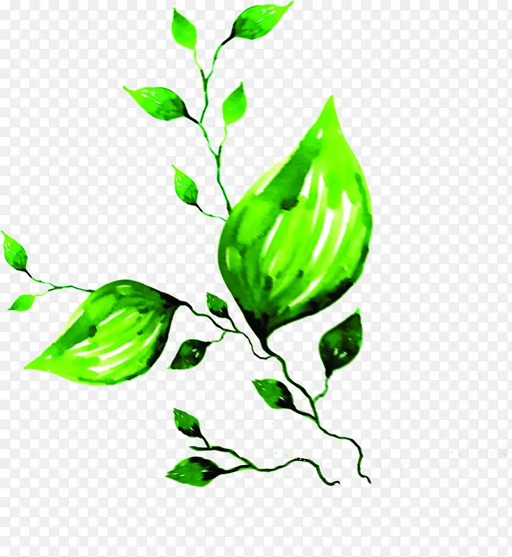 ��Ҷˮ�����װ��-������