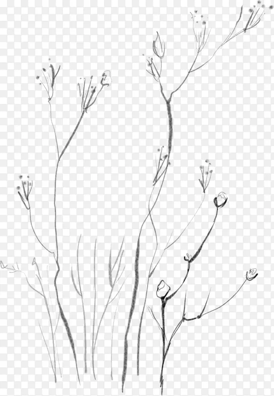 Ψ������ֲ����֦-������