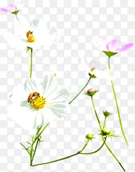 Ψ������С������-������