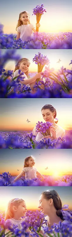 Ψ������޹�²ݻ�����Ӱͼ-������