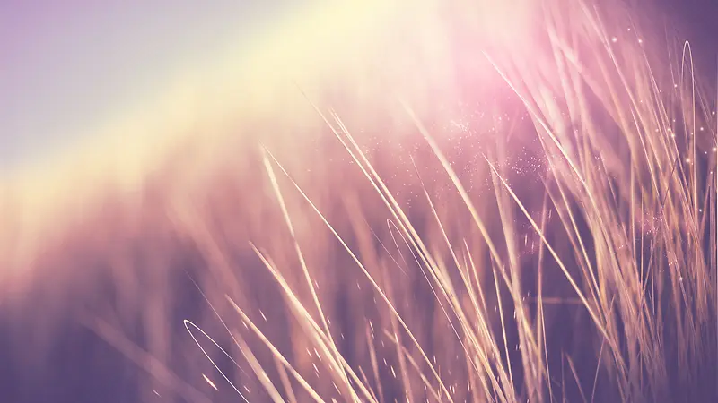 Ψ������С���±���-������