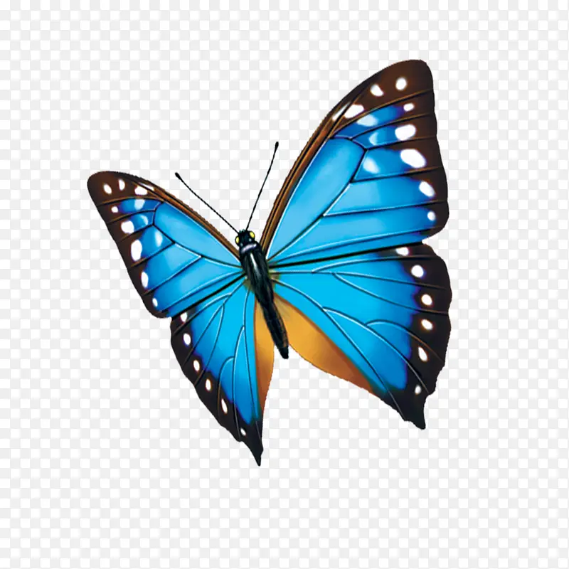 ��ɫ����-������