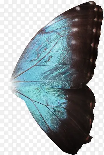 ���-������