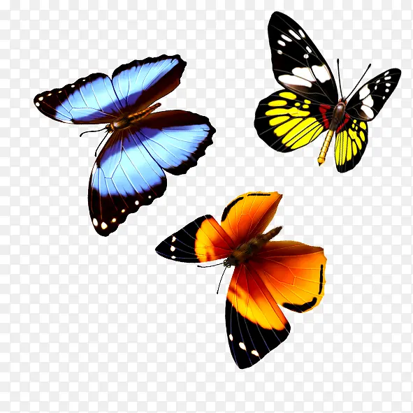 ����Ư��-������