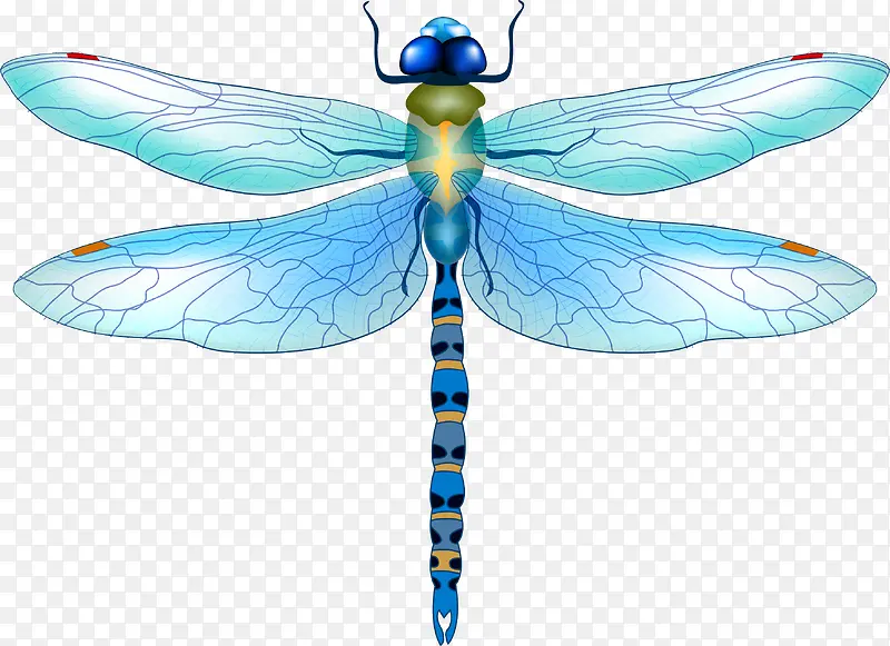 ��ɫ����-������