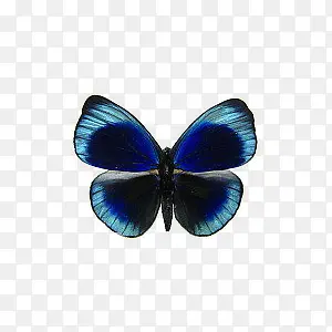 ����-������