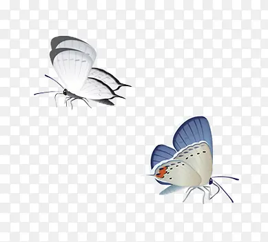 ����-������