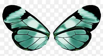 ����-������