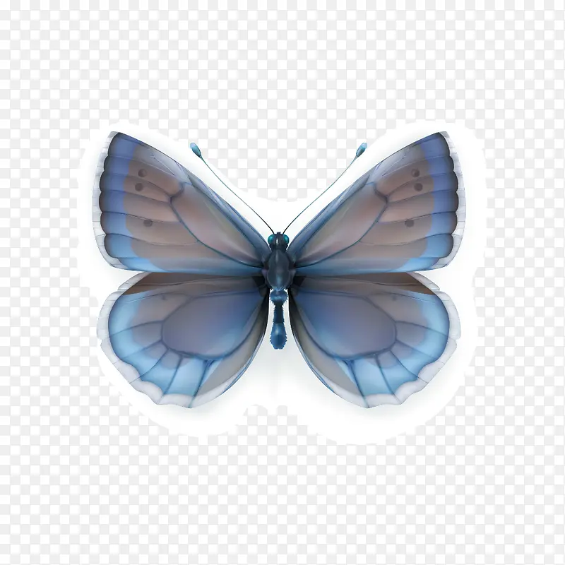 ����-������