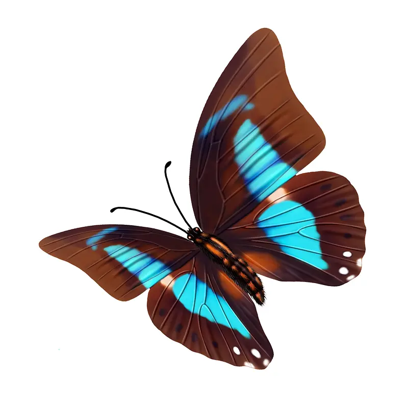 ����-������