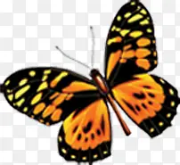 ������Ӱ����Ļ�����-������