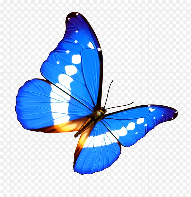 ����-������