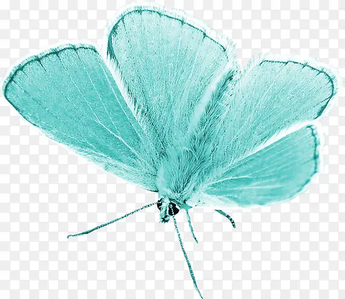 ����-������