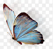 ��ɫ��ͨ����ʱ�к���-������