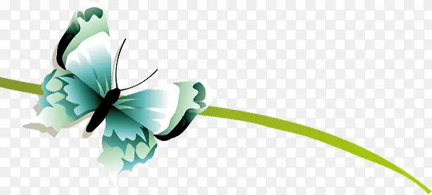 ��ɫ��������������֦-������