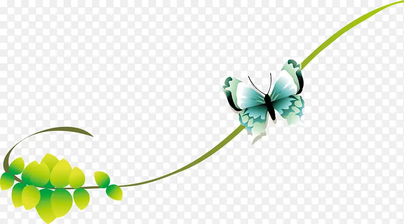 ��ɫΨ��������֦���-������