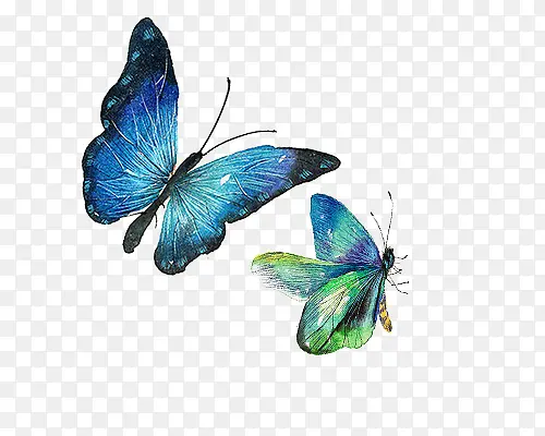 ������ɫ������-������