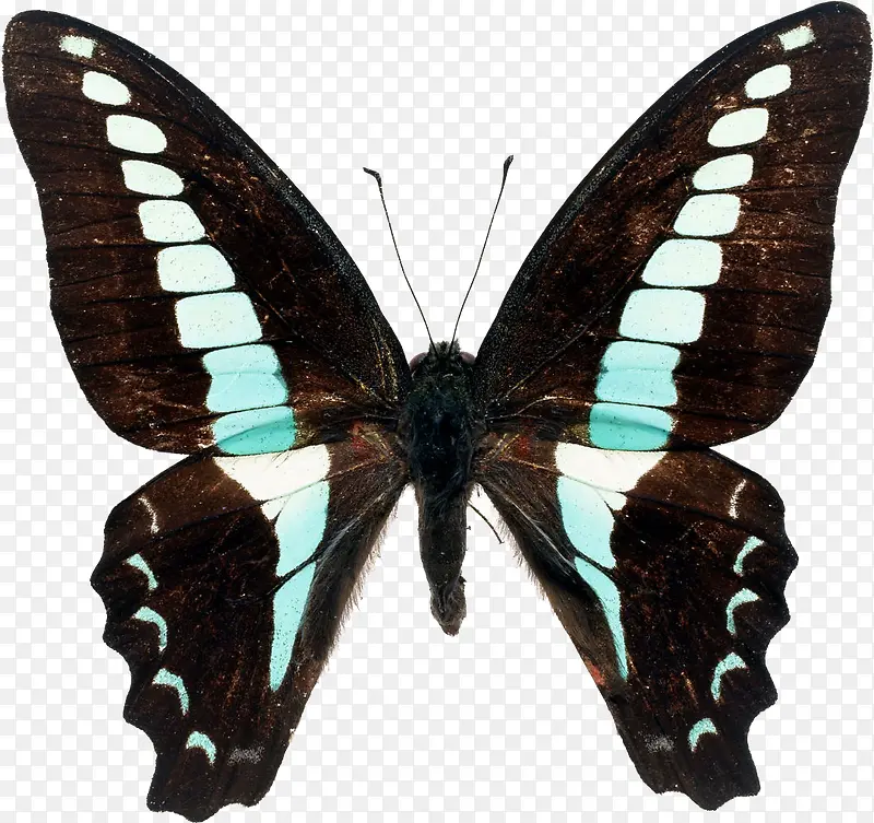 ������ɫ������-������