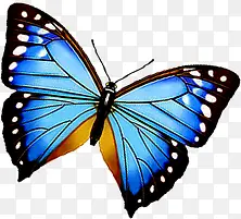 ��ɫ����ʱ�й���ͼƬ-������