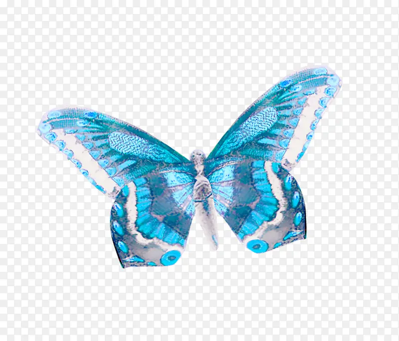 ��ɫ����������-������