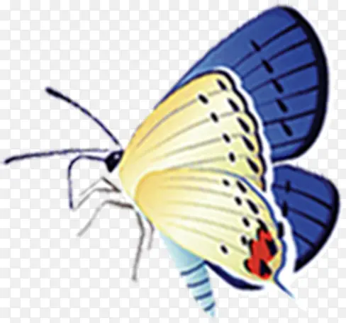 ��ͨ��ɫ������-������