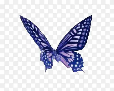 ������ɫ����������-������