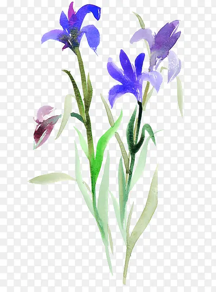 ˮ��ī��-������