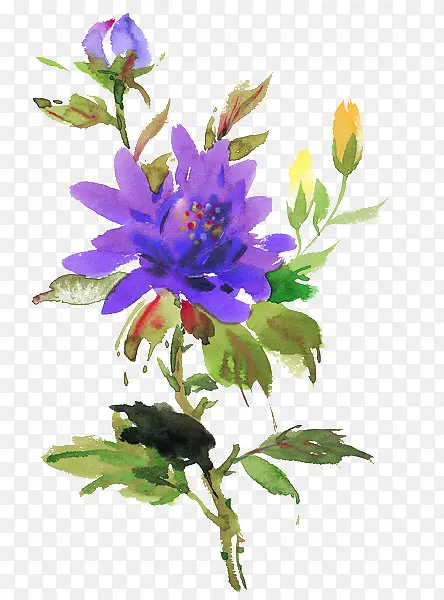 ˮ��ī��-������