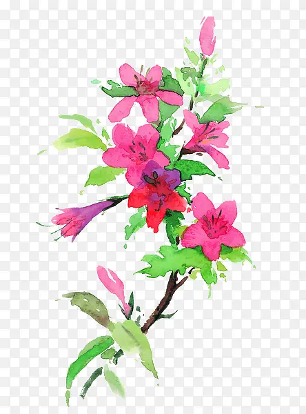 ˮ��ī��-������