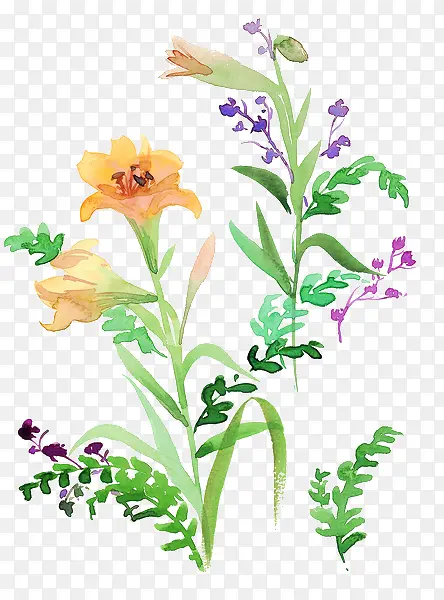 ˮ��ī��-������