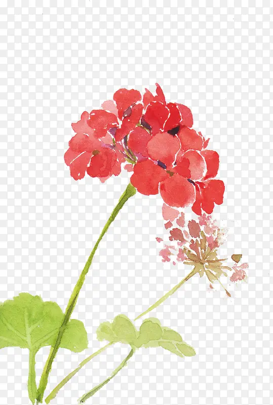 ˮ��ī��-������