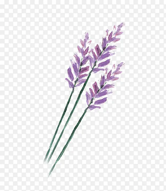 ˮ��ī��-������