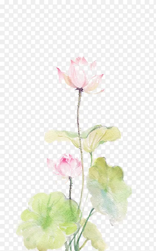 ˮ��ī��-������