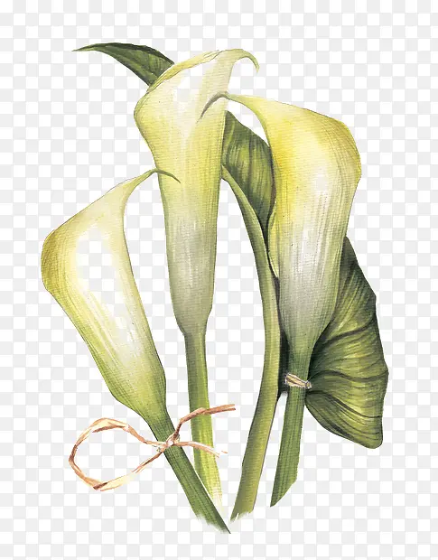 ˮ��ī��-������