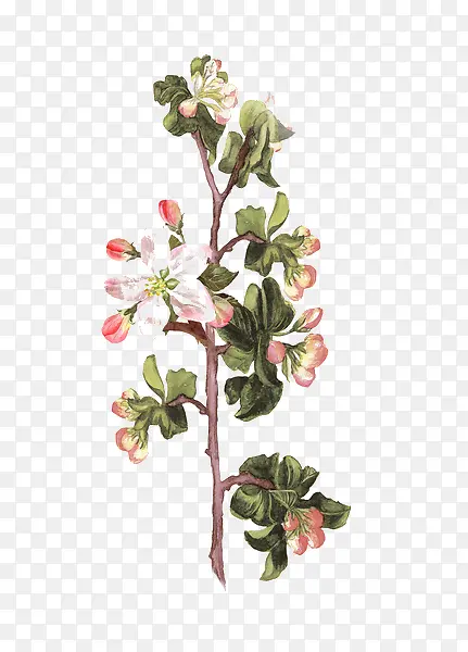 ˮ��ī��-������