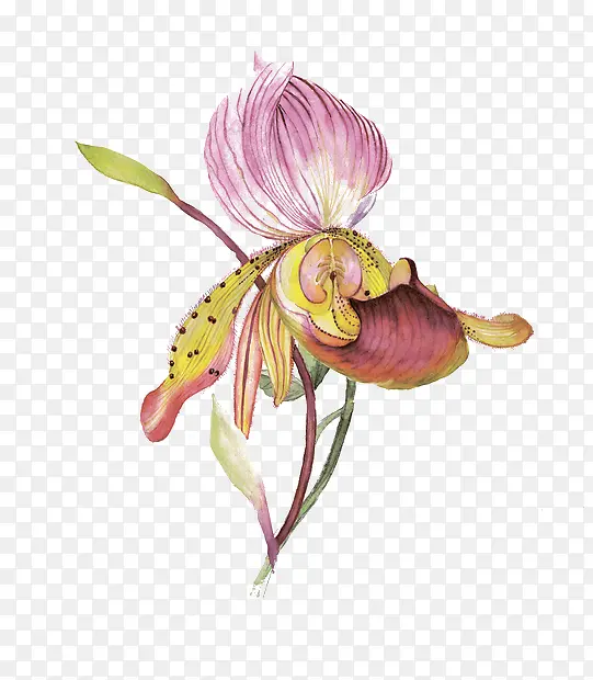 ˮ��ī��-������