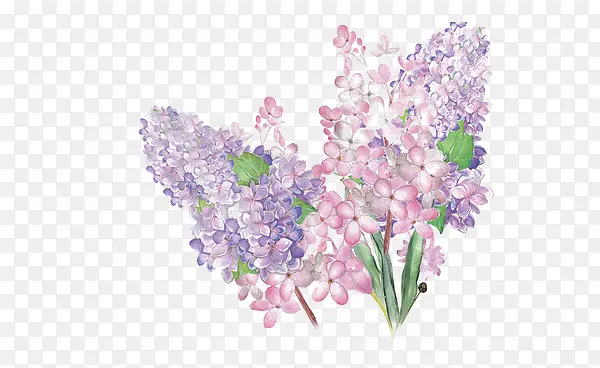 ˮ��ī��-������