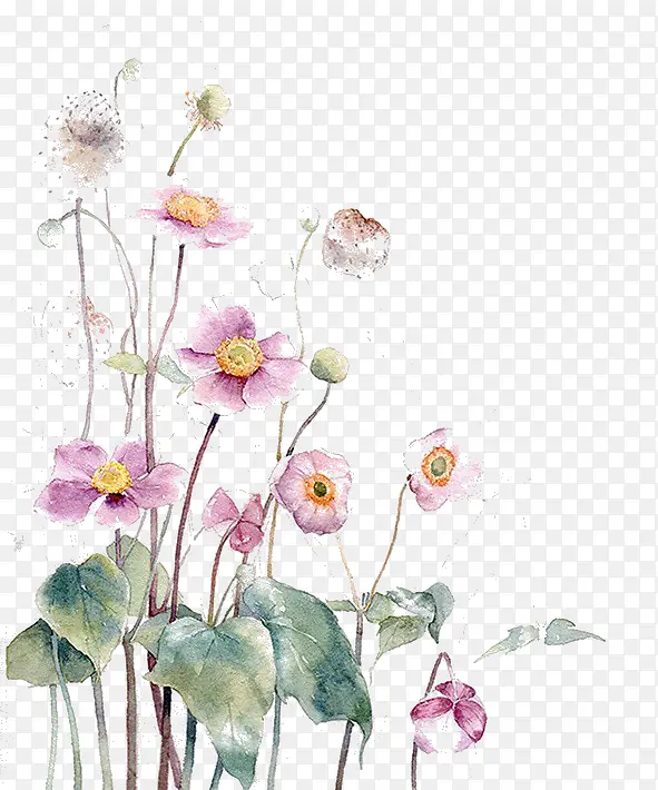 ˮ��ī��-������