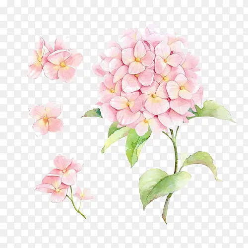 ˮ��ī��-������