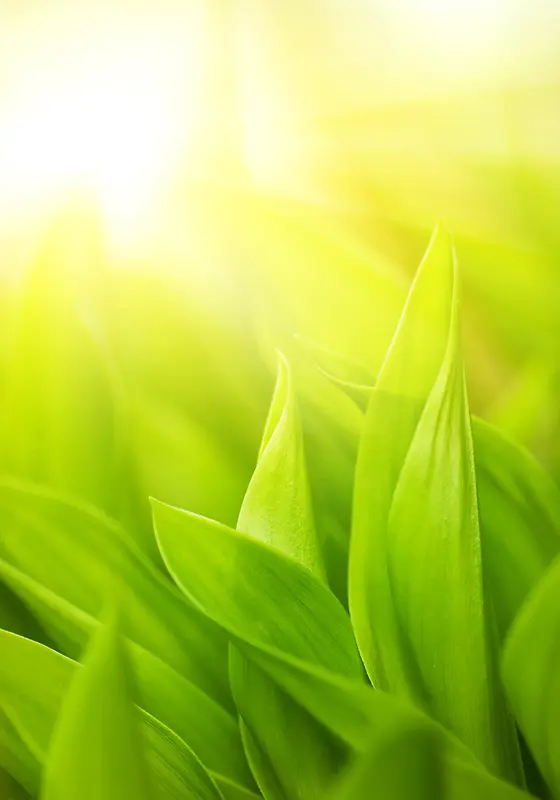 ��ɫ���±���-������